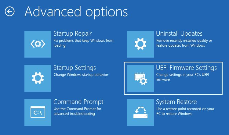Windows Advanced Options