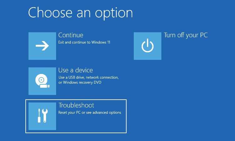 Windows Advanced Startup Options