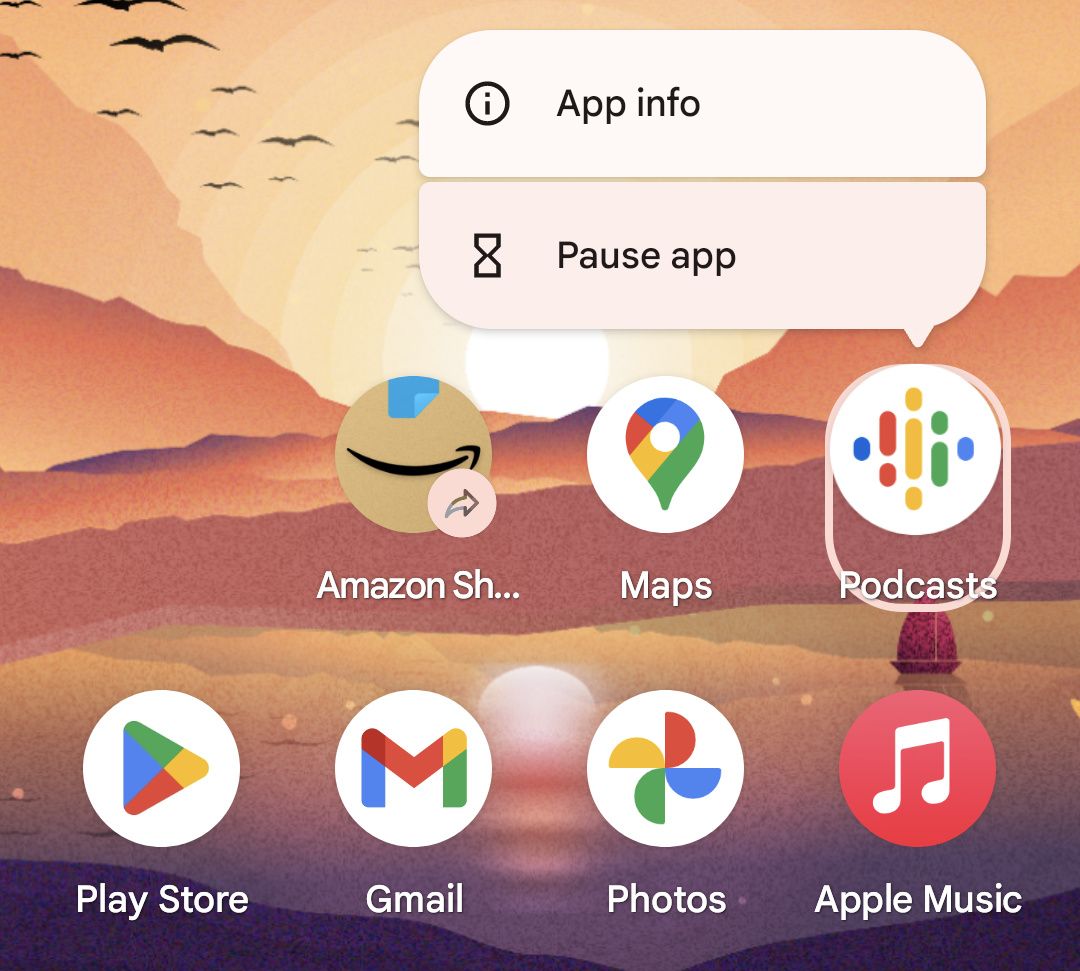 Tap and hold menu for Android app on home screen.