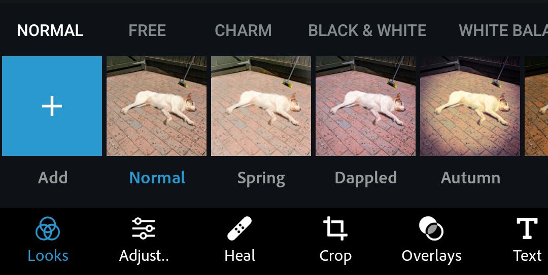 Looks filters in Photoshop Express on Android.