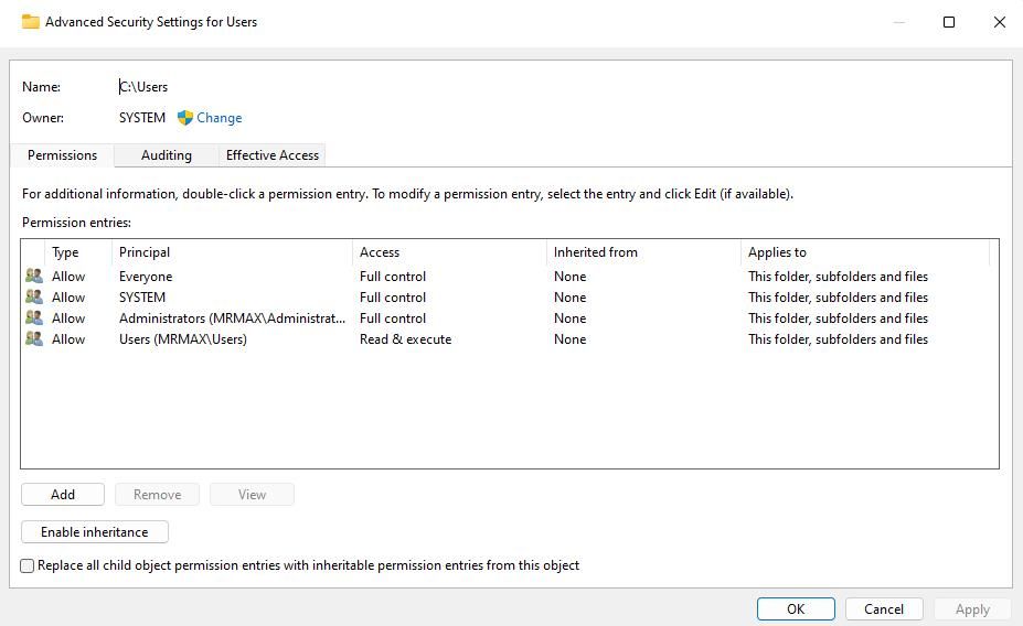 The Advanced Security Settings for Users window 