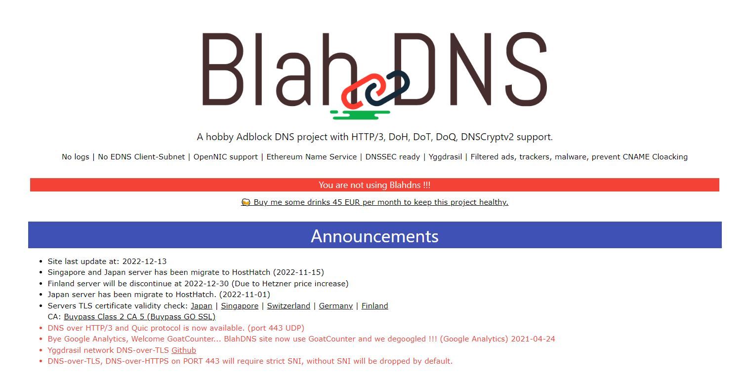 اسکرین شات از BlahDNS Blocking Ad Blocking DNS Landing Page