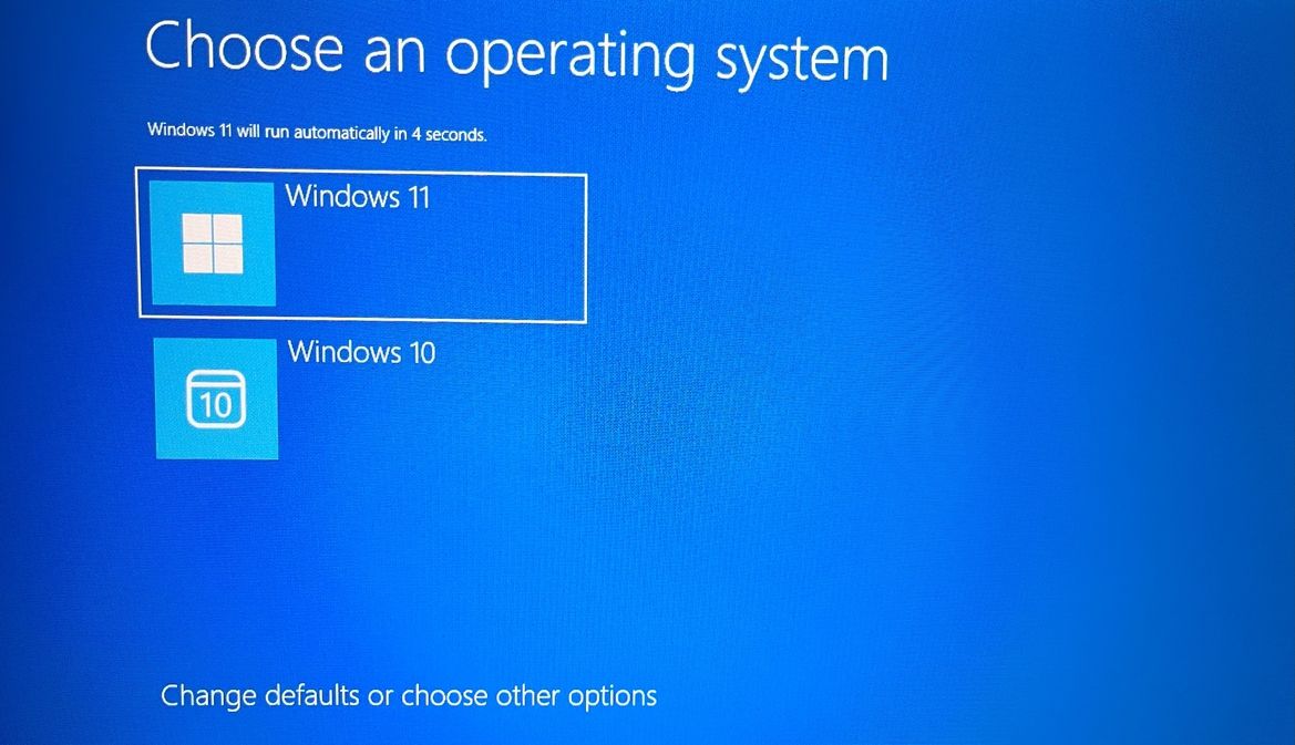 Change defaults or choose other options in the Boot menu