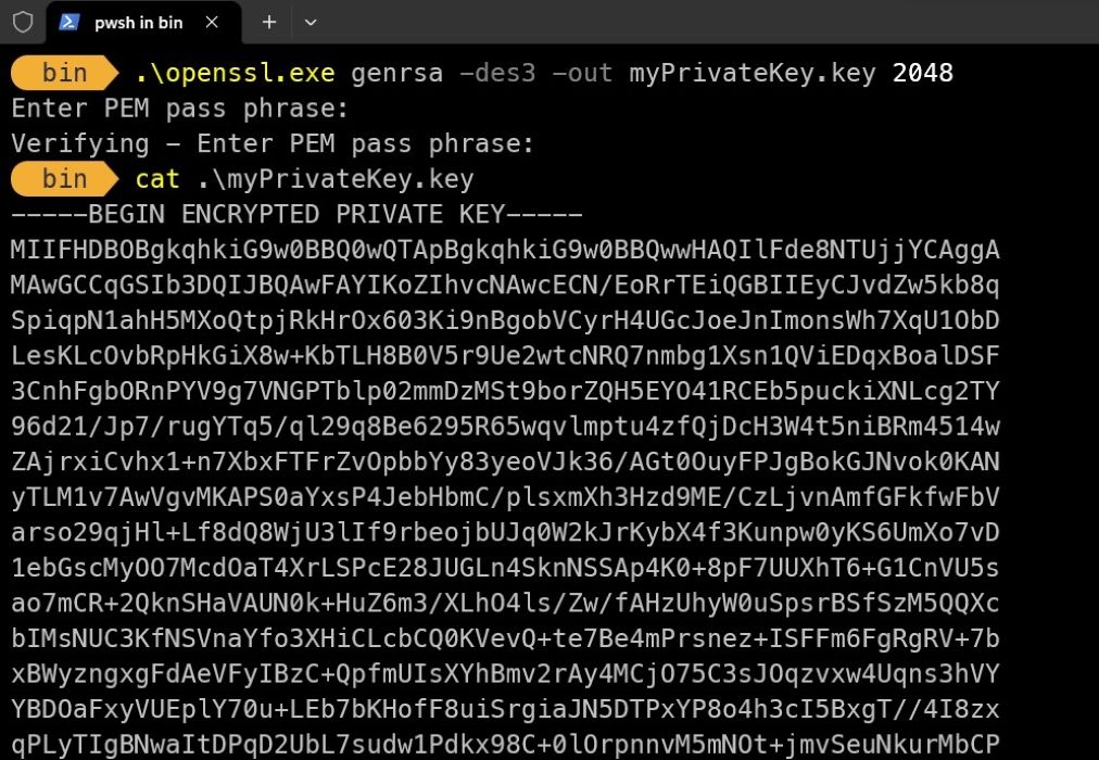 Output of the command used to generate the RSA key