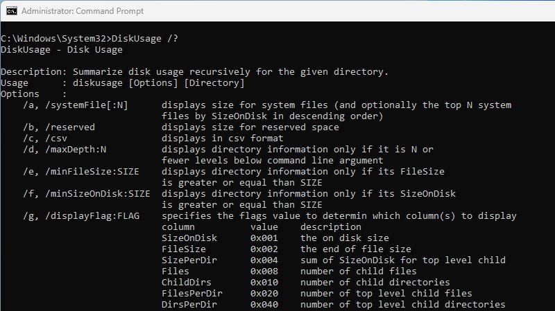 A list of DiskUsage options at the command prompt