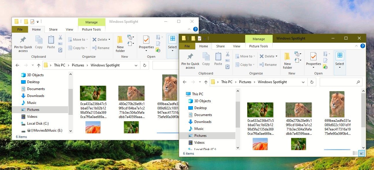 Duplicate Folder Window Created