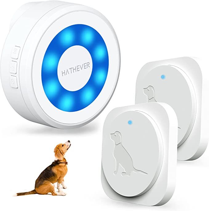 Best Wireless Doorbells for Dogs 2023