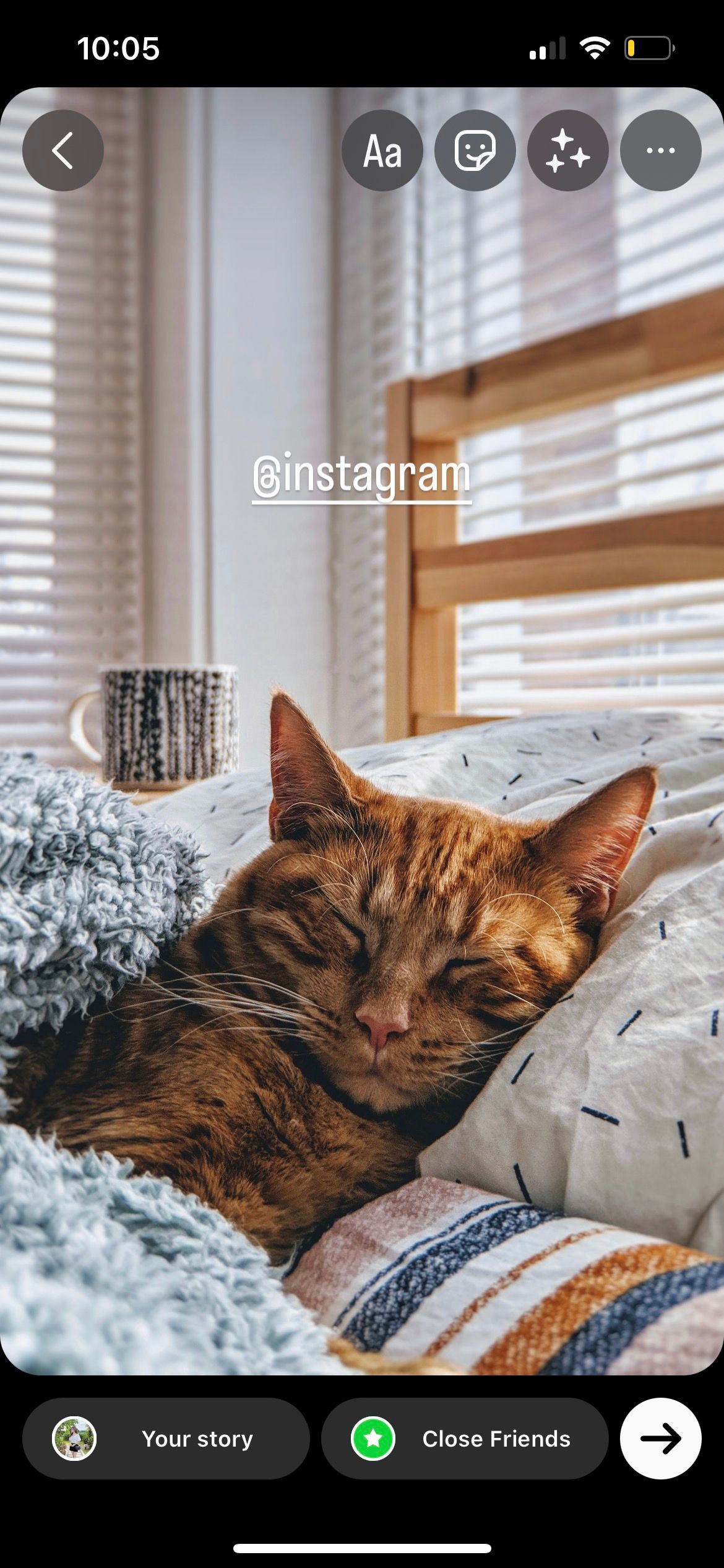 username mention in instagram story showing cat picture
