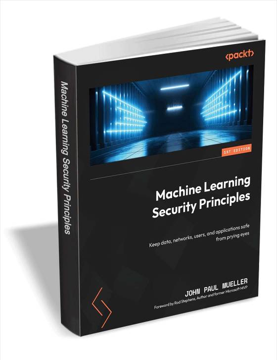 Machine Learning Security Principles