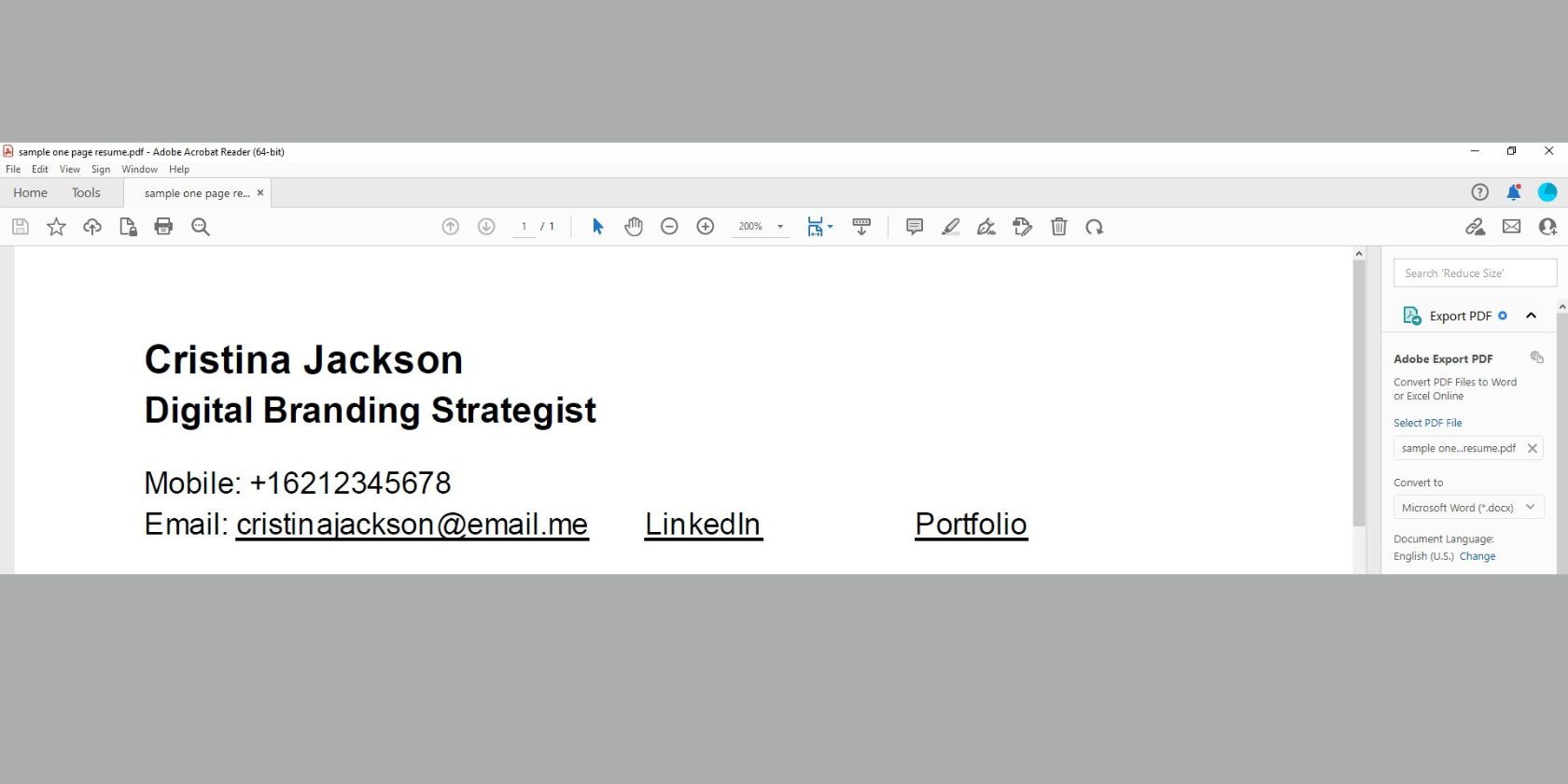 sample one-page resume header  