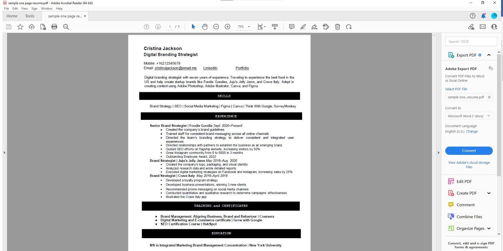 pdf sample one-page resume
