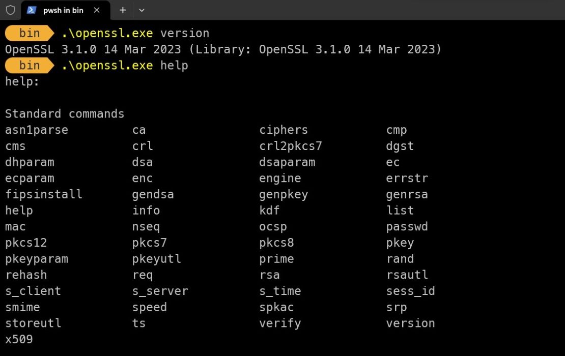 Running the version command to see if openssl is installed