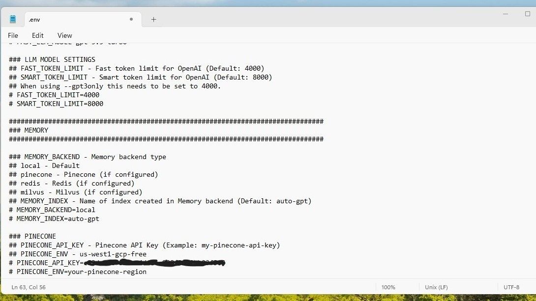A screenshot showing blurred Pinecone API key on Notepad