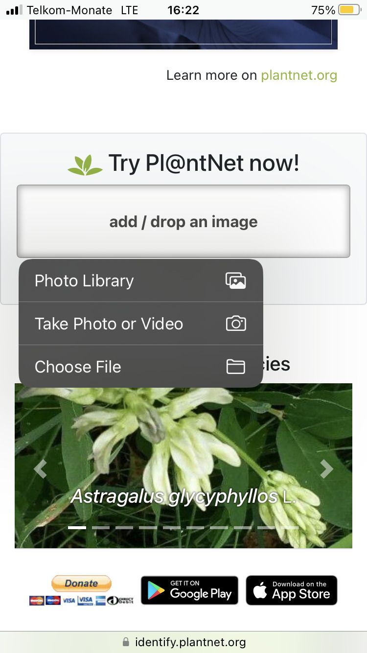 Uploading an image on PlantNet