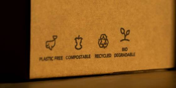 5 Practical Zero-Waste Sites and Online Guides for Sustainable Advice