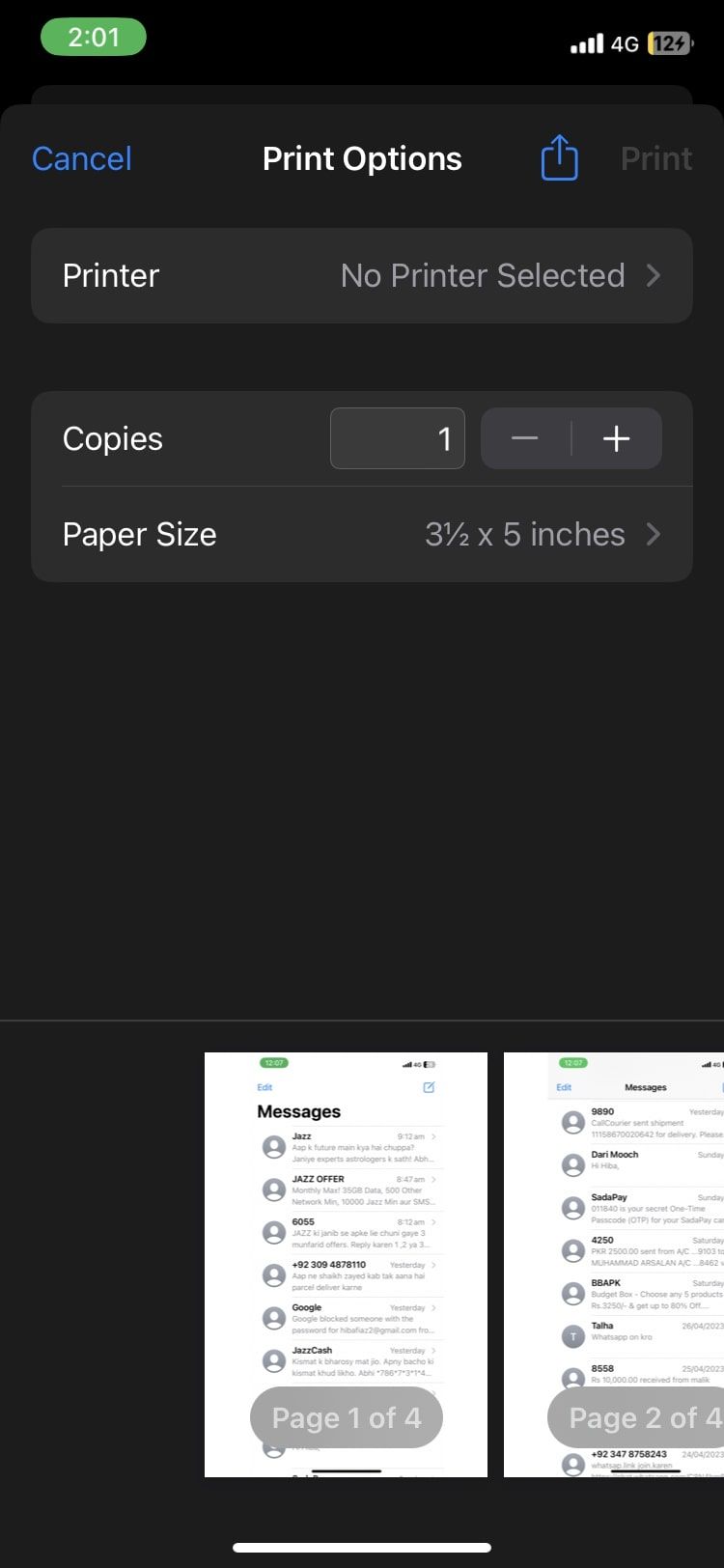 print options menu in iOS