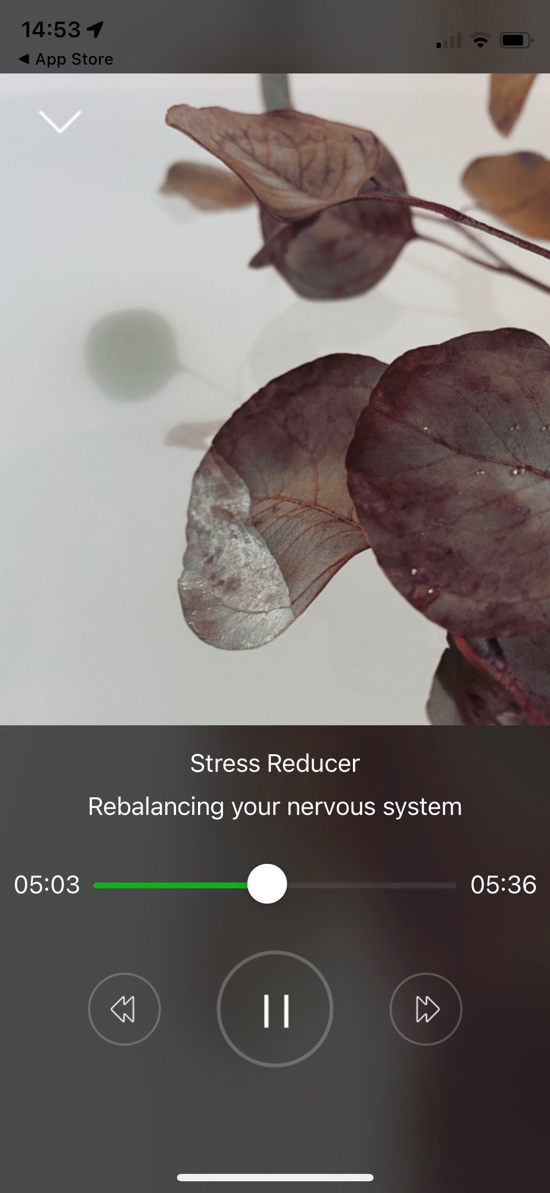 Screenshot of Exhale app showing Stress Reducer play screen 3