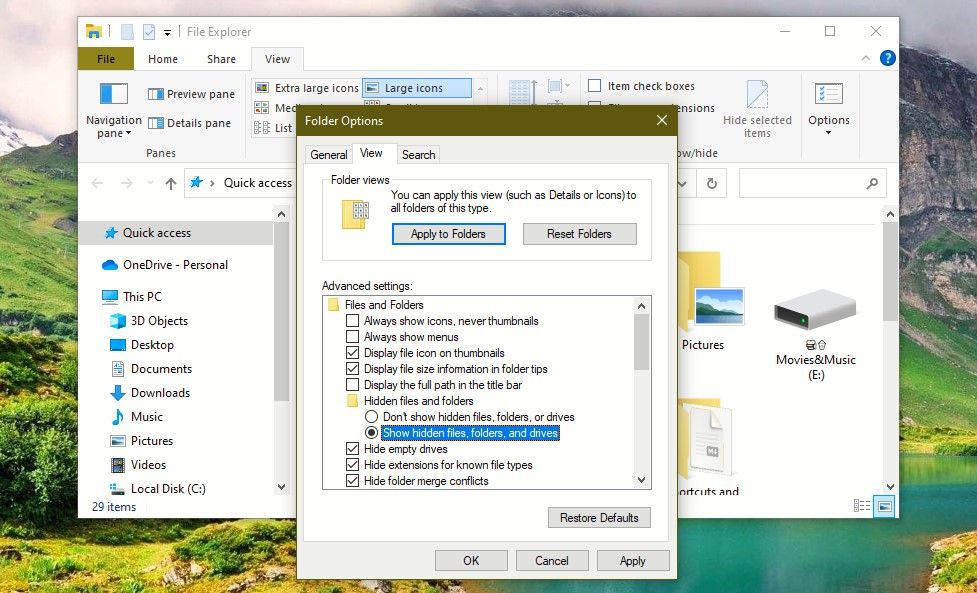 Select Show Hidden Files, Folders, and Drives
