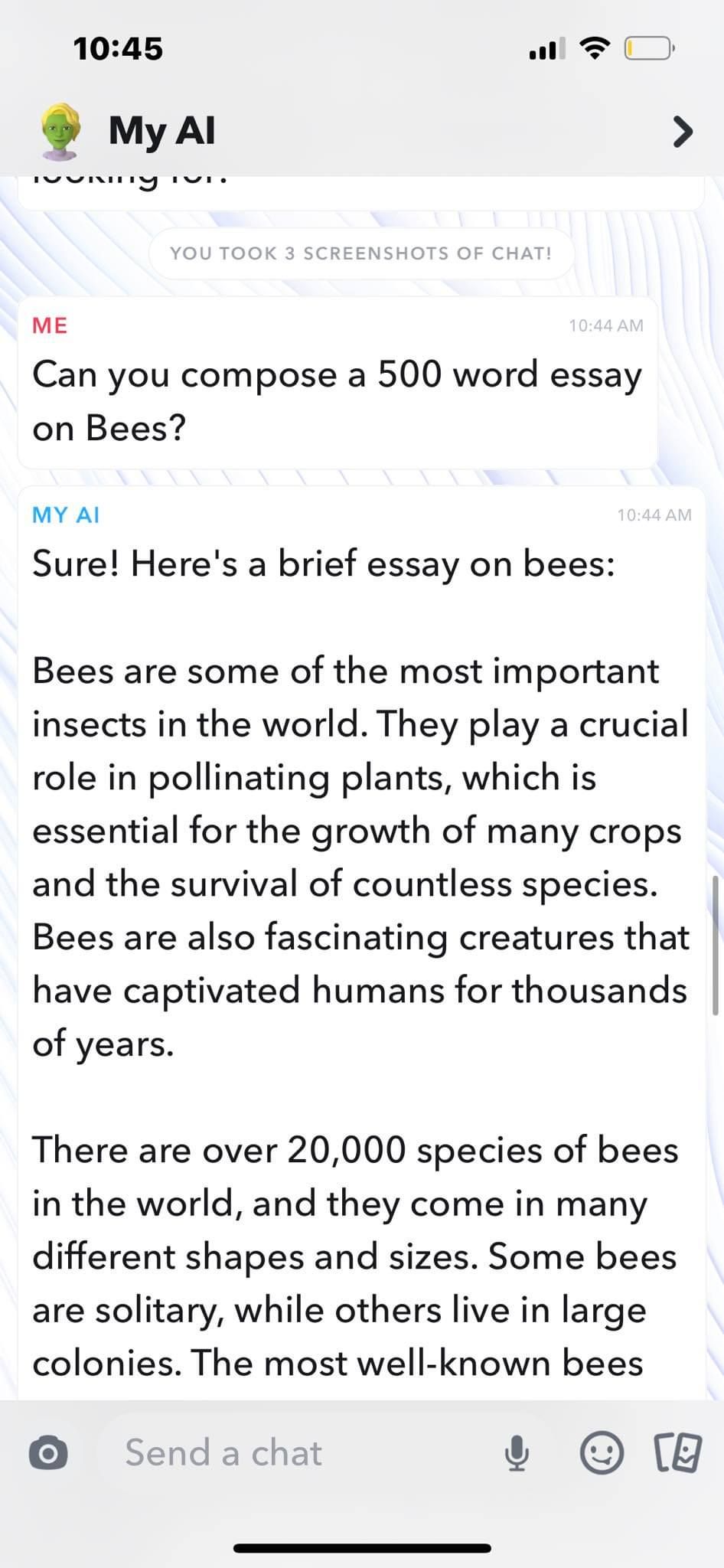 Snapchat Writing an Essay About Bees