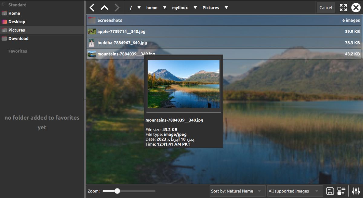 L'interface principale de PhotoQt Image Viewer