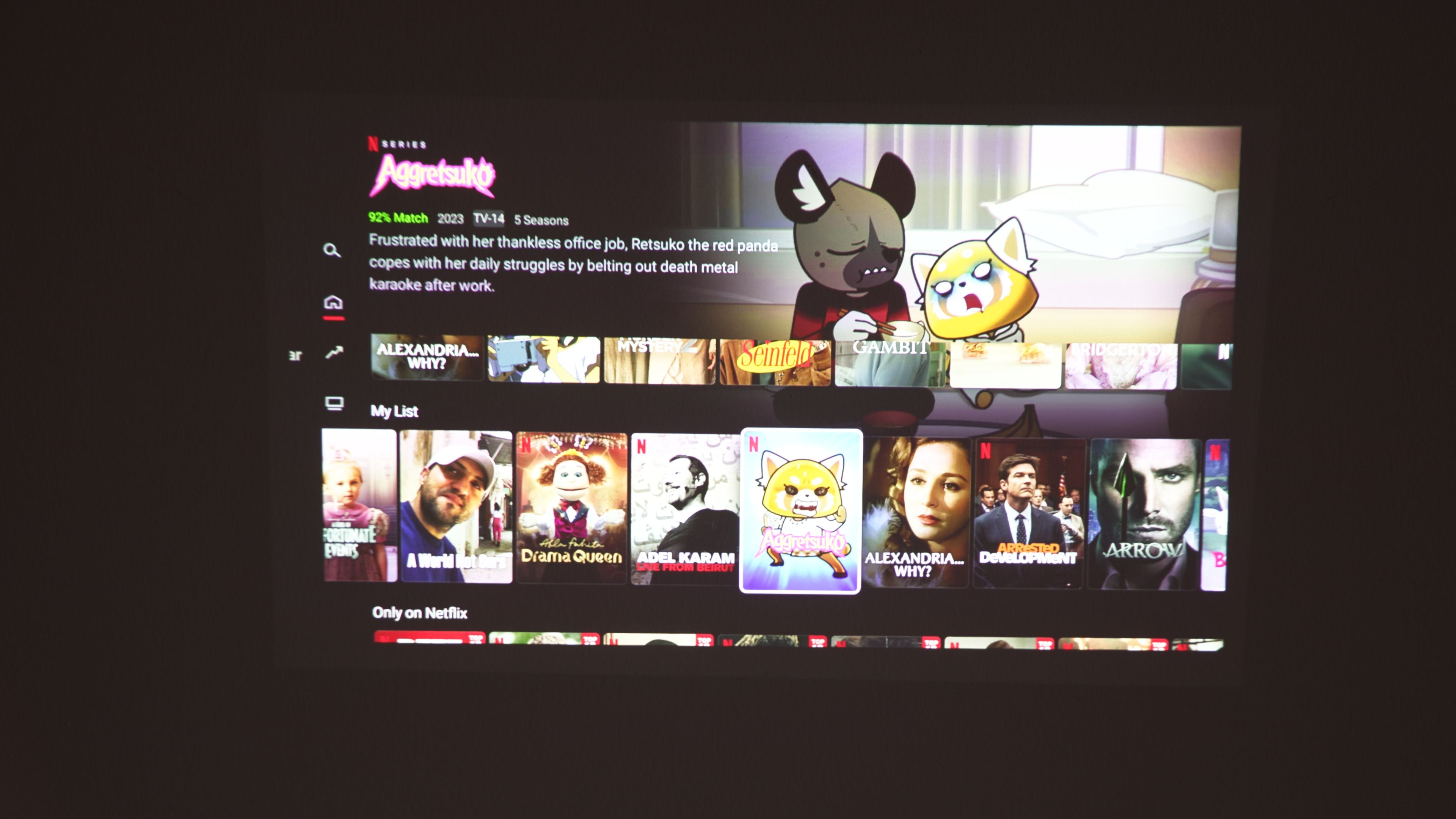 XGIMI MoGo Pro 2 - Netflix Interface