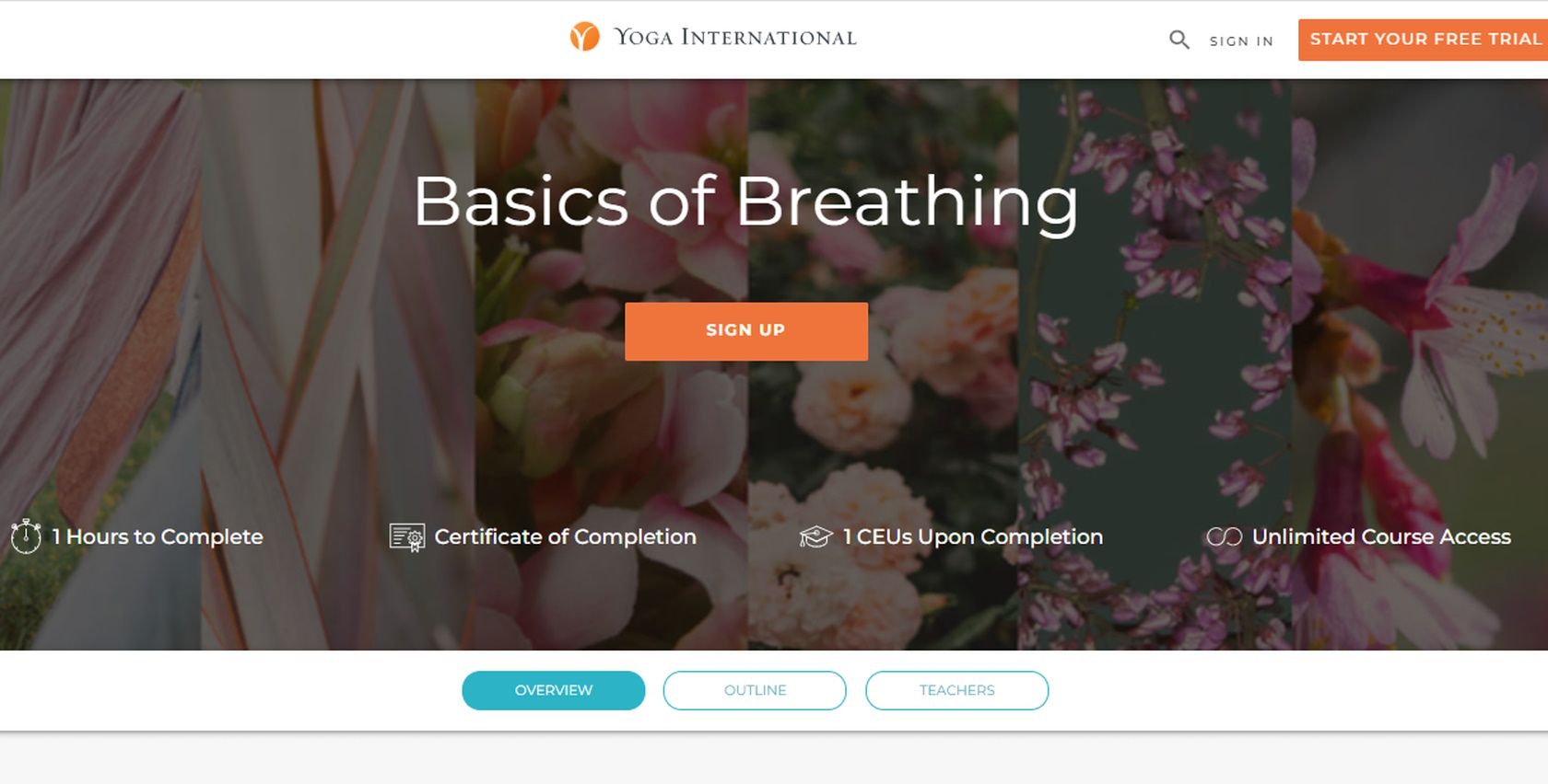 Yoga International basics of breathing