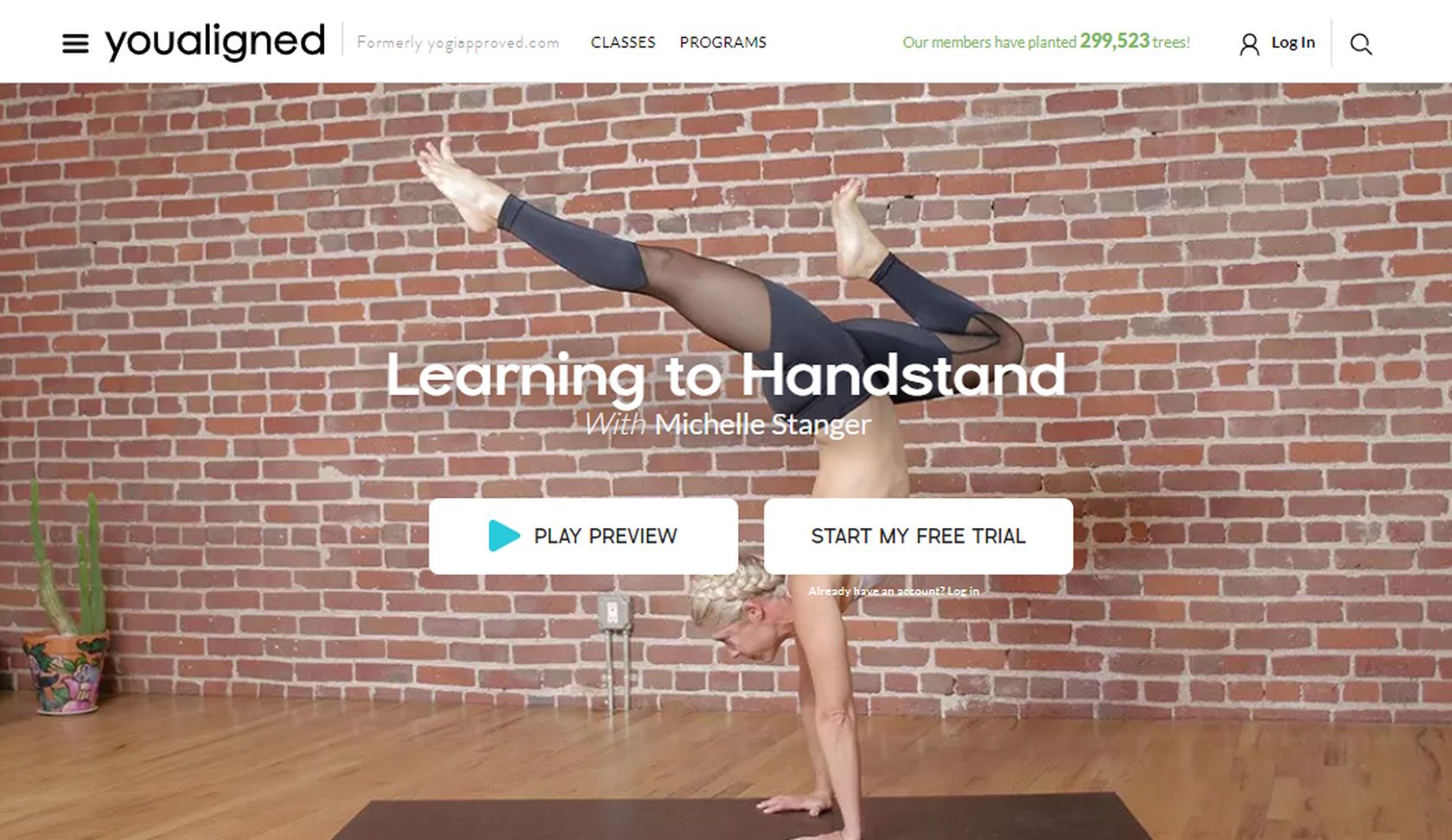 you aligned learning to handstand program
