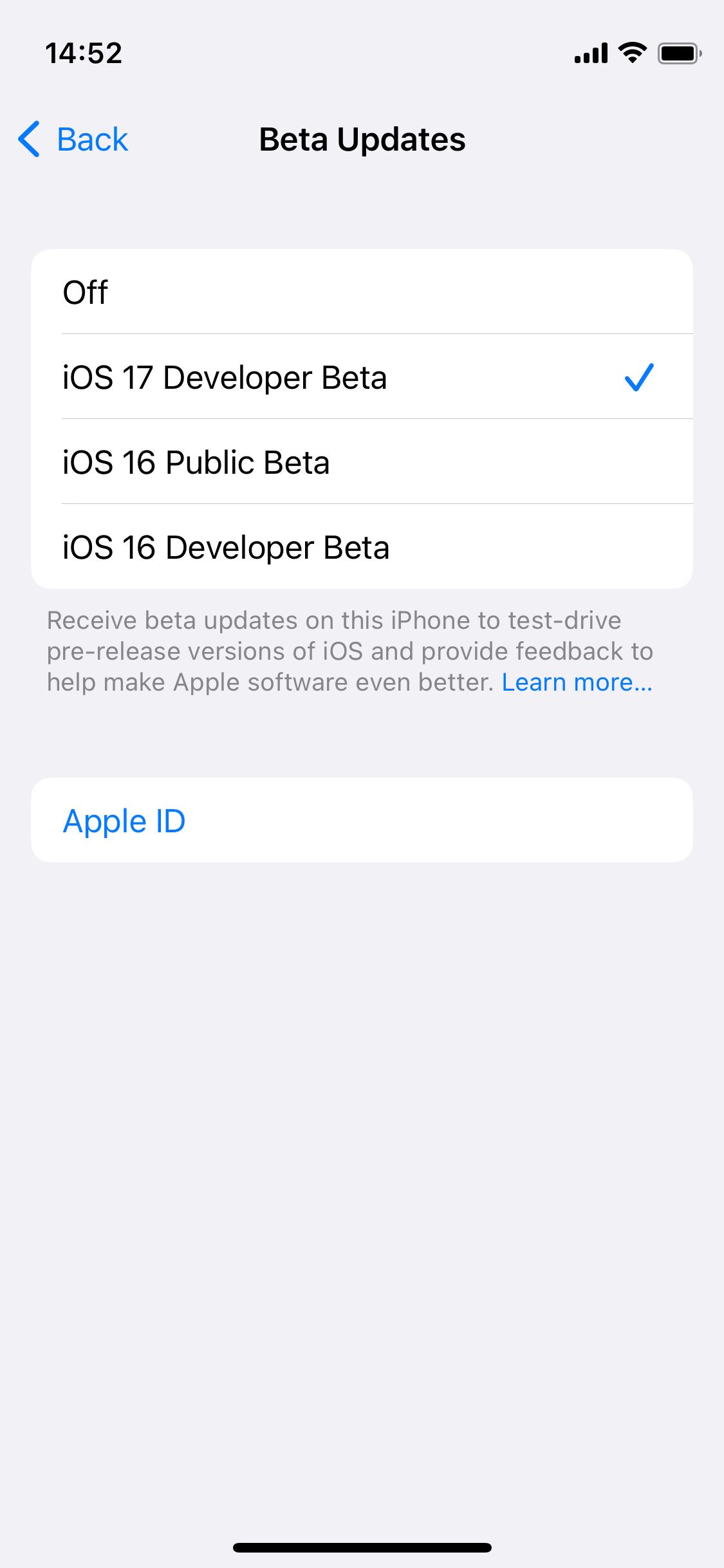 3. Beta update options in iPhone settings