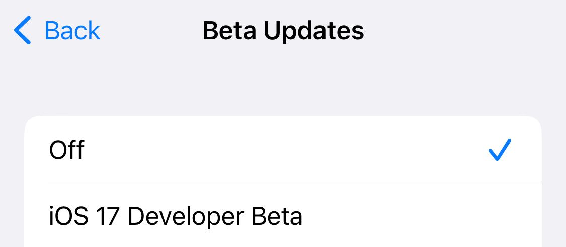 5. Beta Updates Off option on iPhone