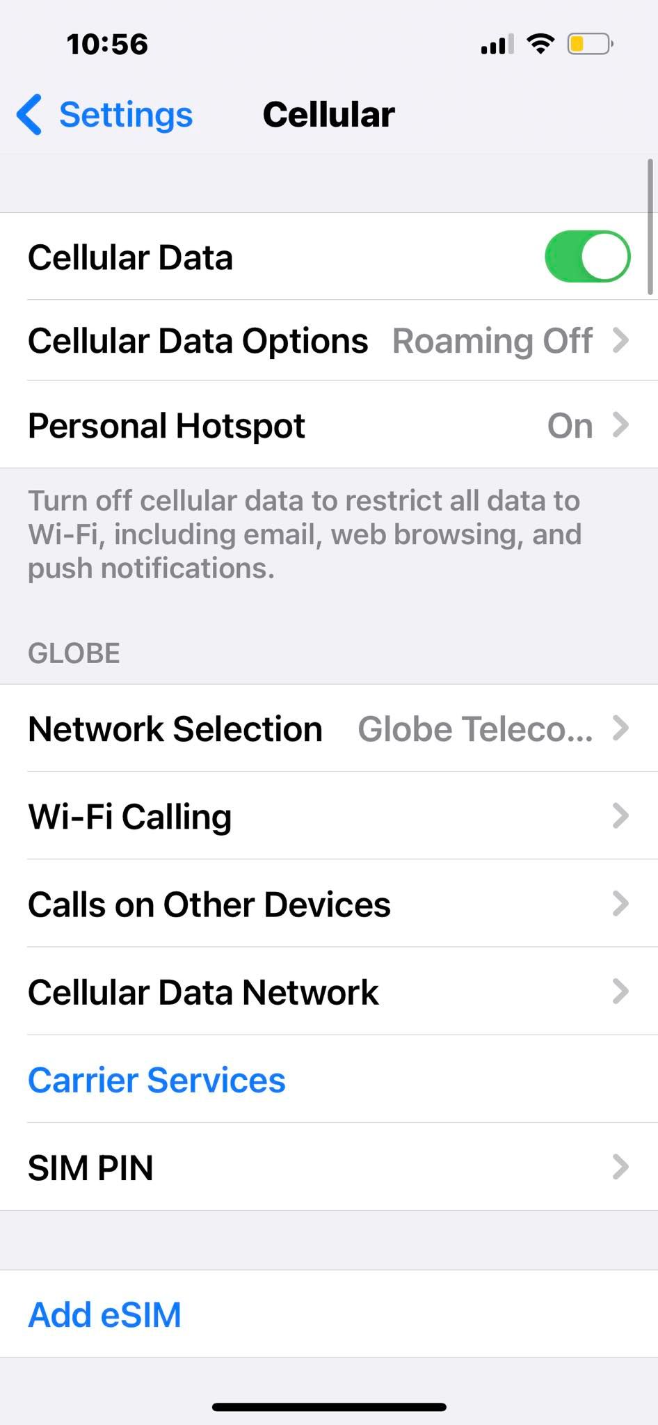 The Cellular Device Settings in iOS 