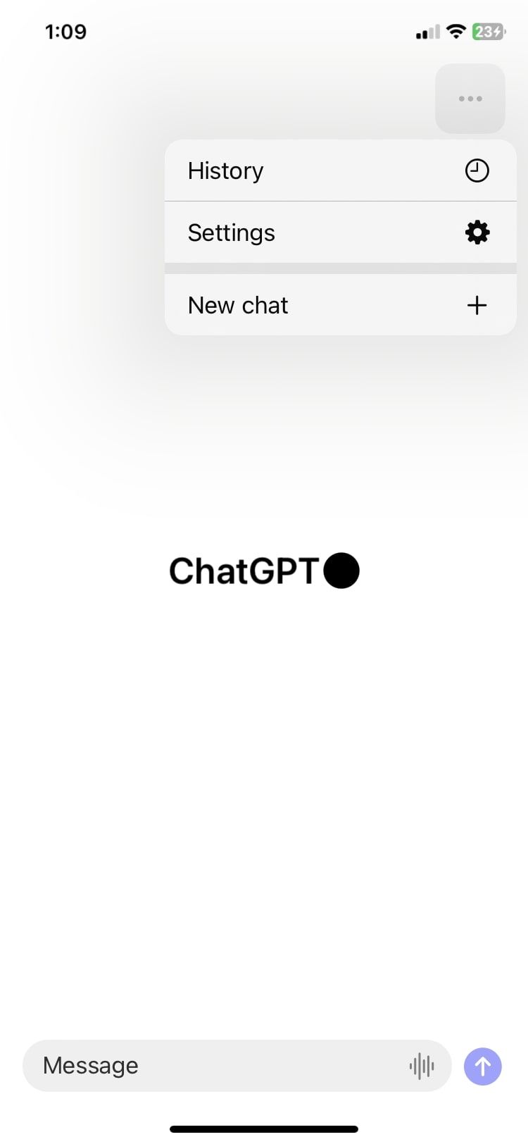 chatGPT menu on iOS app