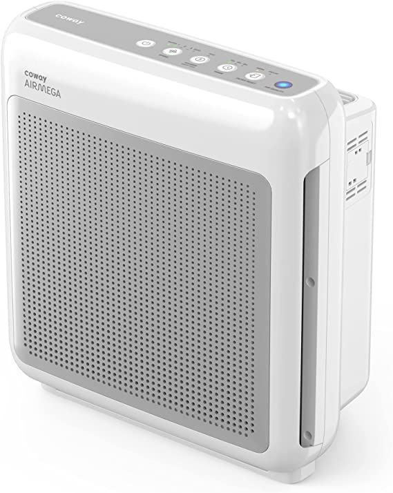 Conway air purifier