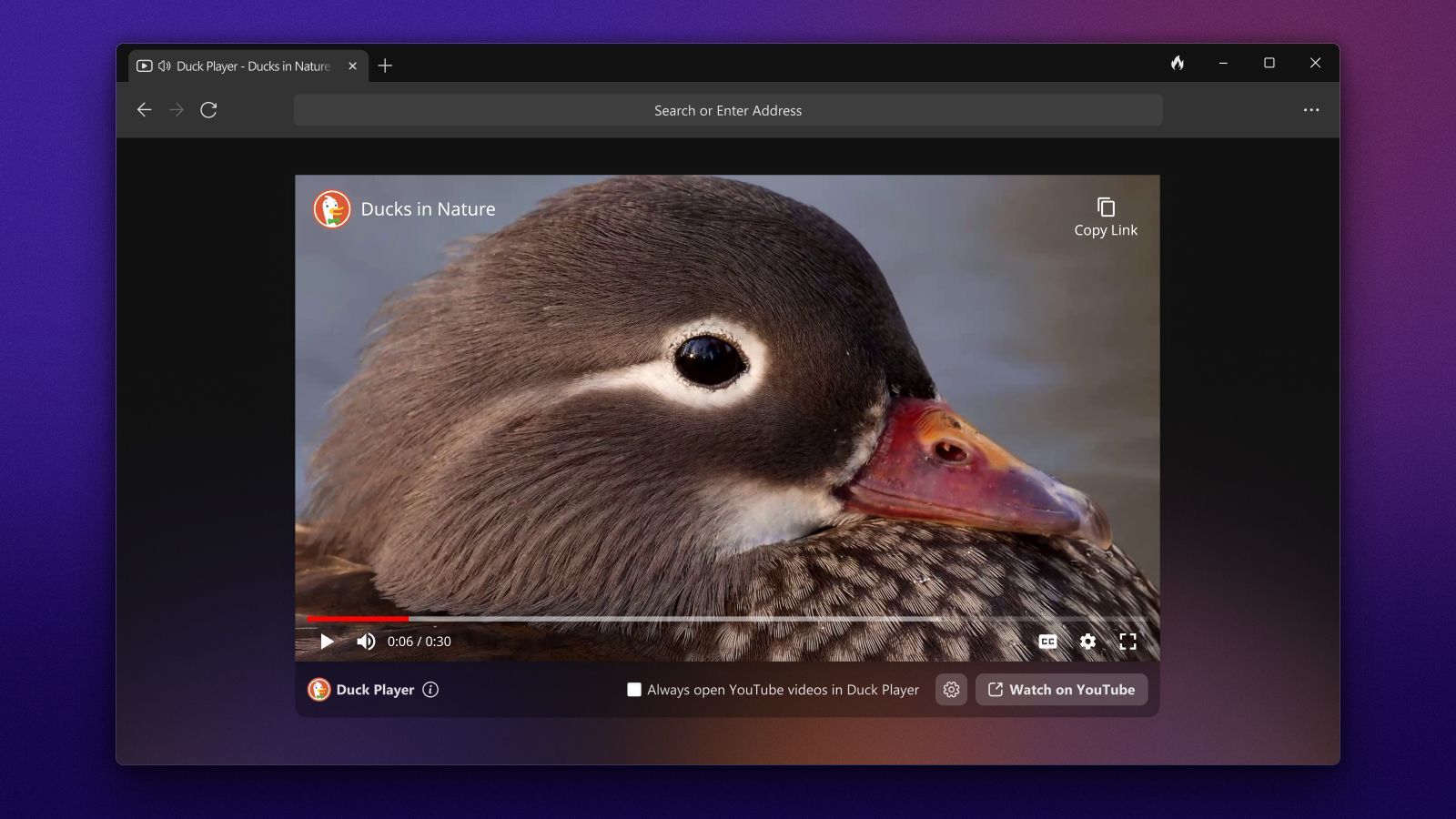 Hình ảnh DuckDuckGo's Duck Player trên Windows