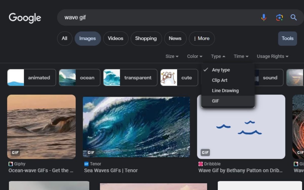 Ảnh chụp màn hình kết quả tìm kiếm Google Hình ảnh cho gif dạng sóng với con trỏ di chuột qua GIF trong menu thả xuống Loại từ menu thả xuống Công cụ