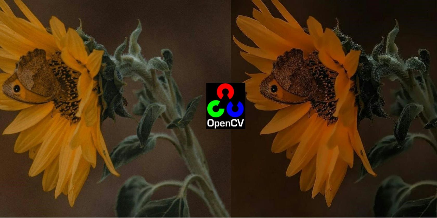 An enhanced sunflower image with OpenCV logo overlayed