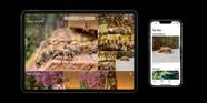 How To Turn Off ICloud Photos On An IPhone IPad Or Mac