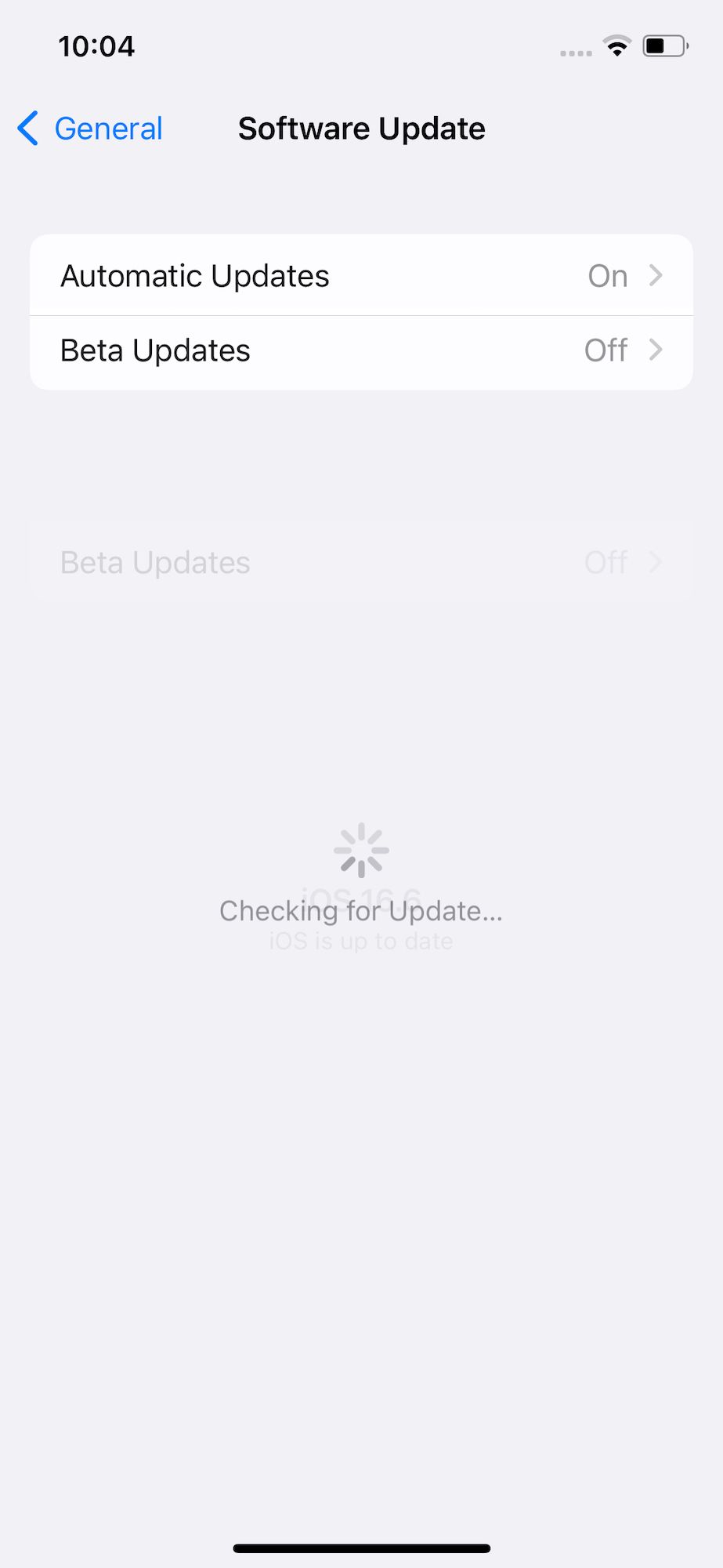 IOS software update page