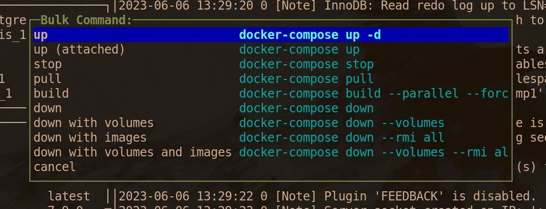 منوی اقدامات انبوه lazydocker