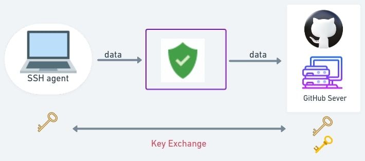 تصویری که ارتباط بین یک عامل ssh و سرور github را نشان می دهد