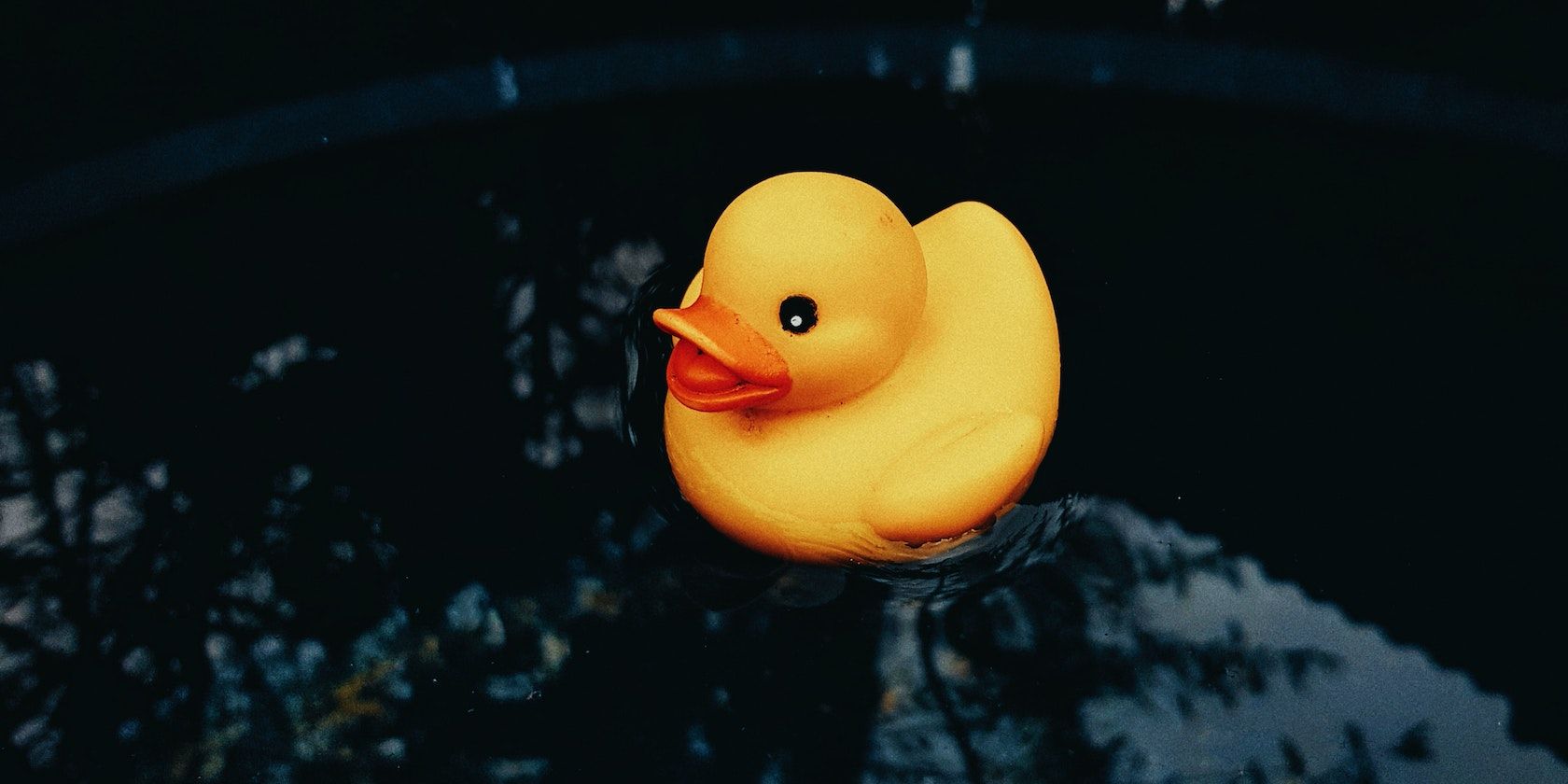 rubber ducky floating on a dark body of water