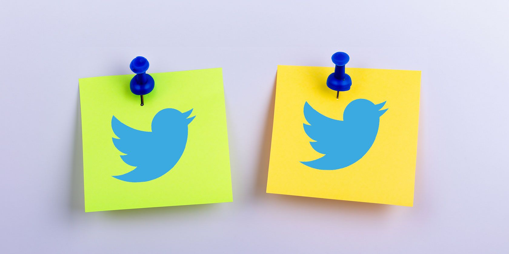 Pinned notes with twitter logo