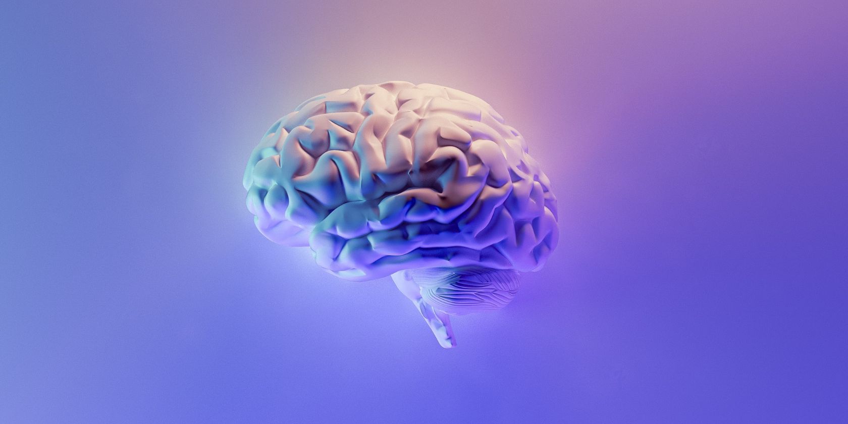 digital graphic of brain in purple and pink hue