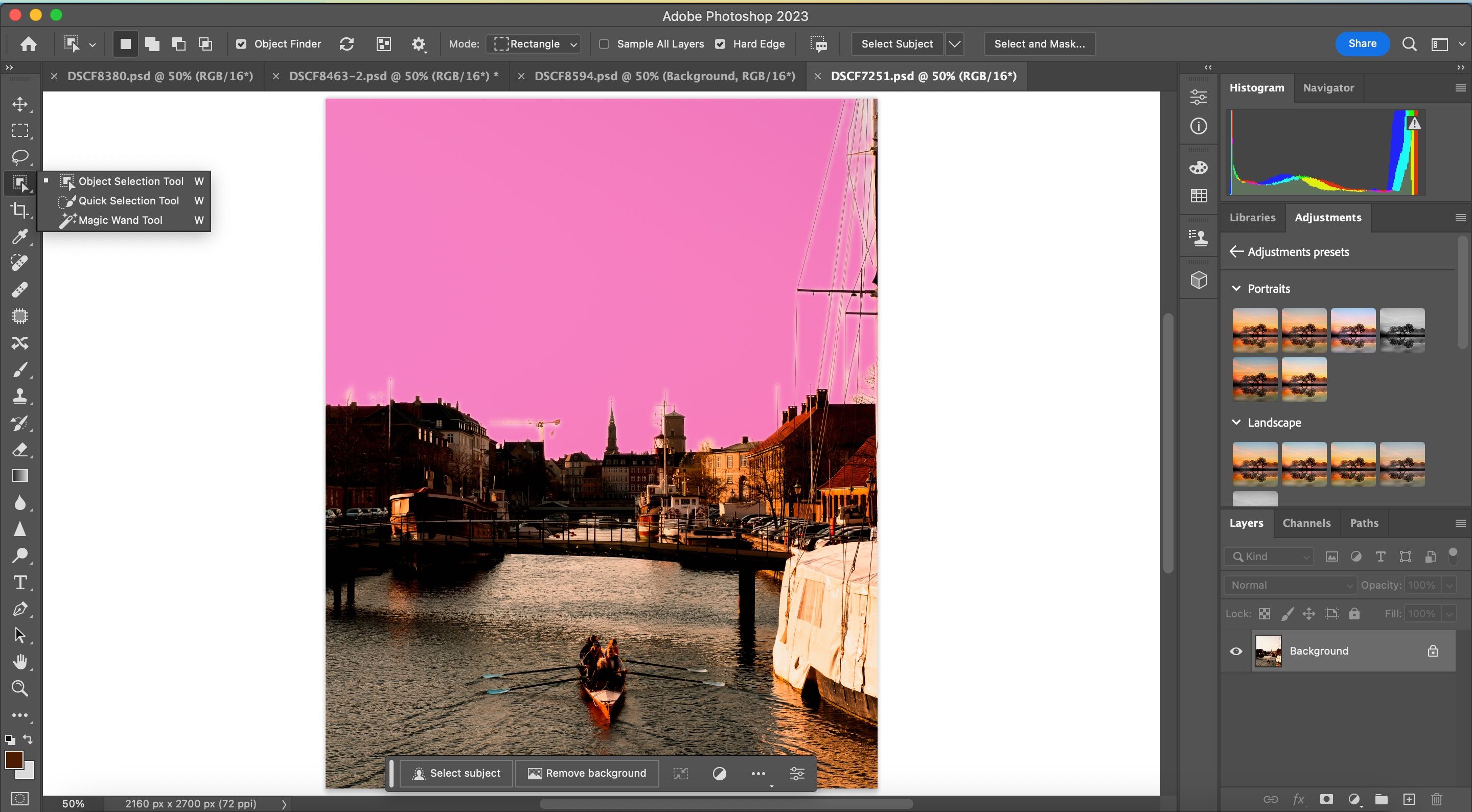 The Quick Selection Tool in Photoshop