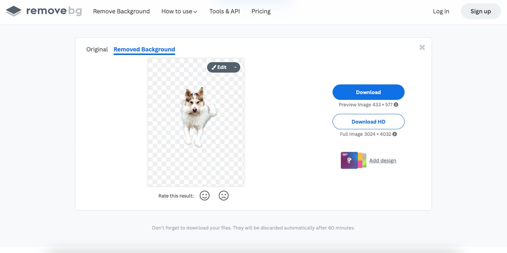 RemoveBG tool with photo of dog on transparent background