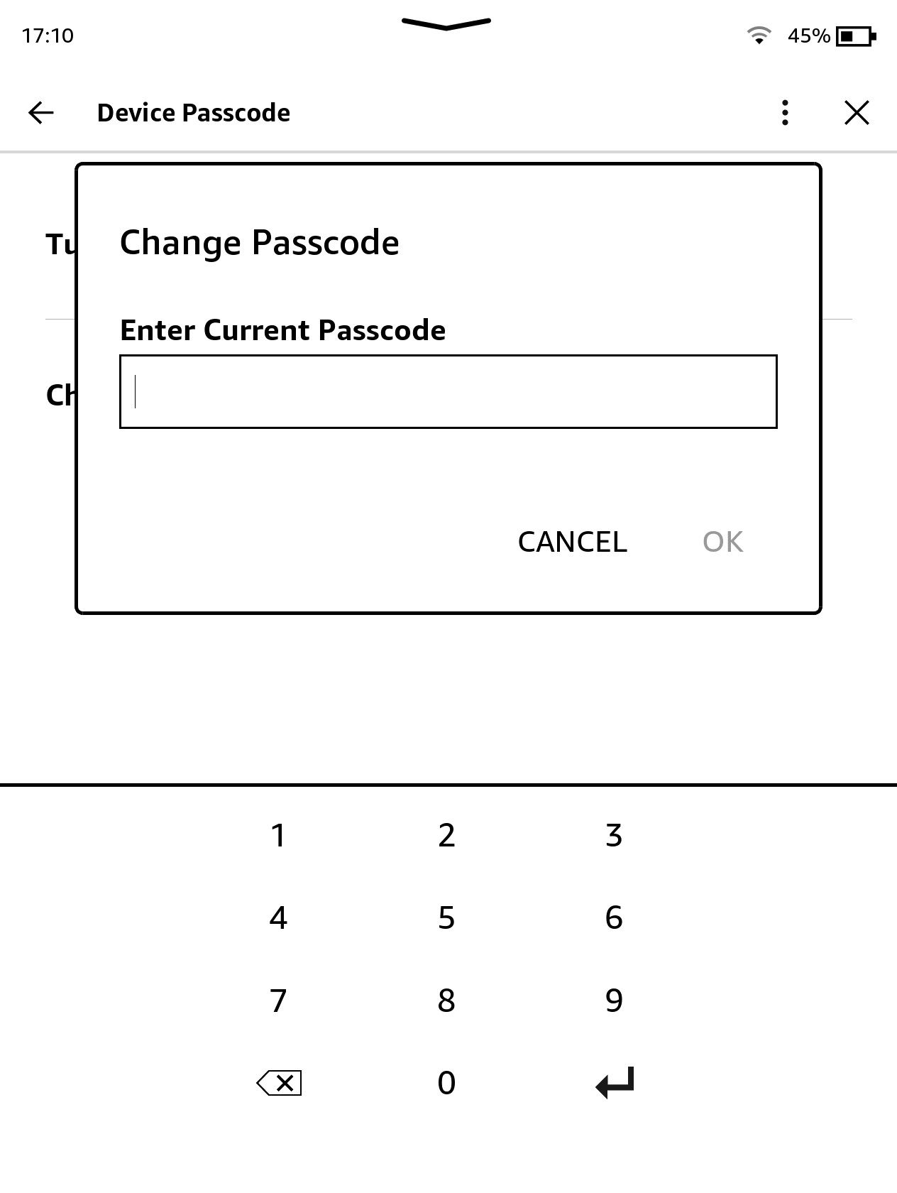 Screenshot of Amazon Kindle Change Passcode screen