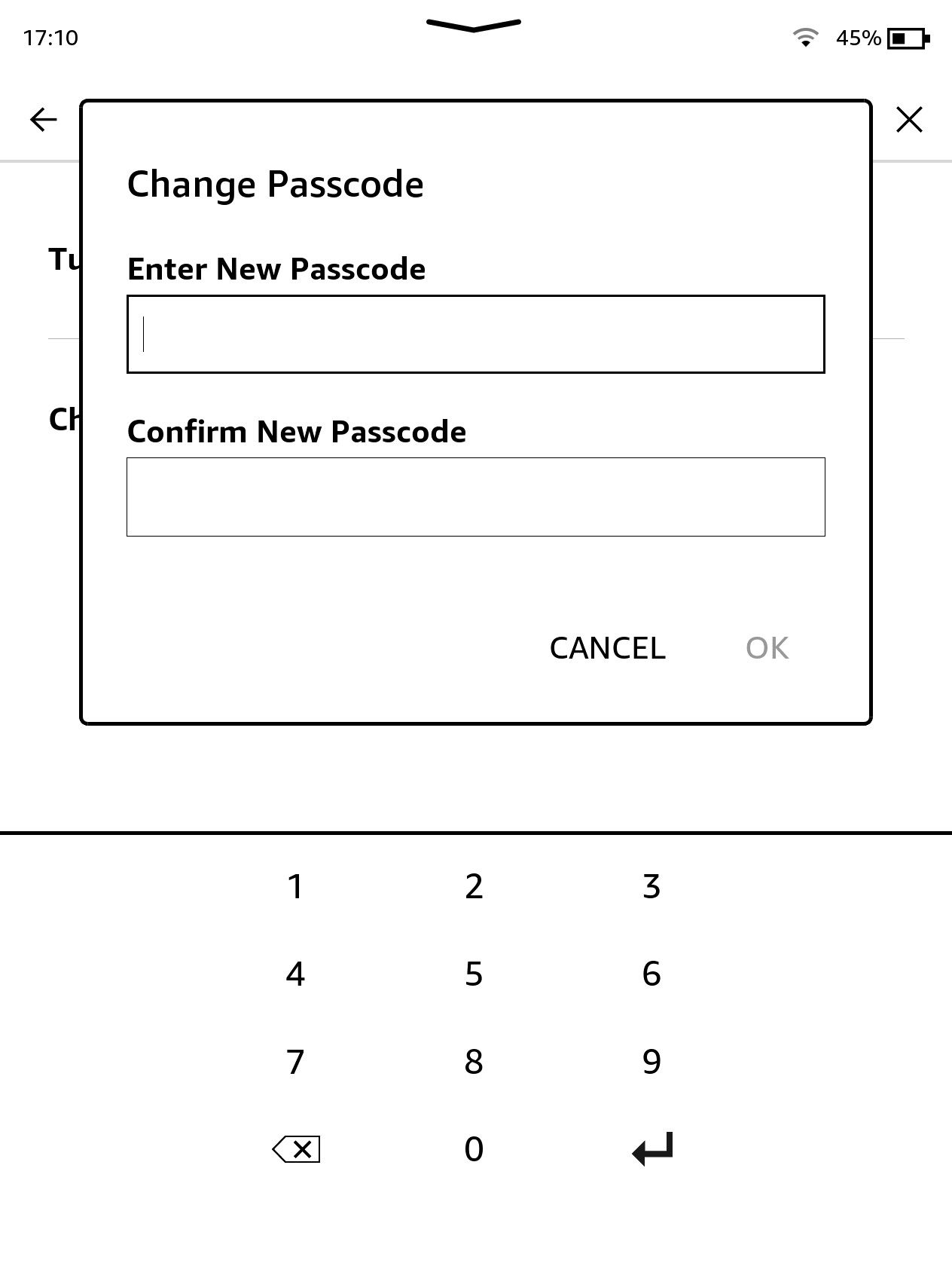 Screenshot of Amazon Kindle Enter New Passcode screen