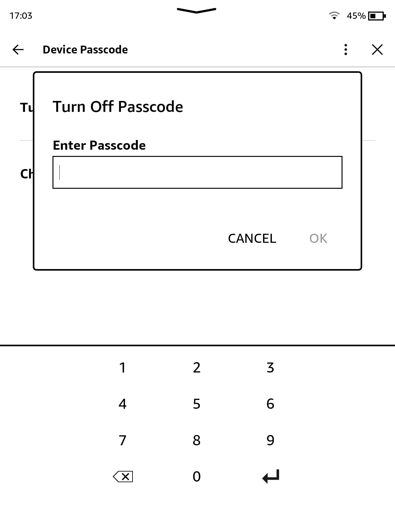 Screenshot of Amazon Kindle Turn Off Passcode screen