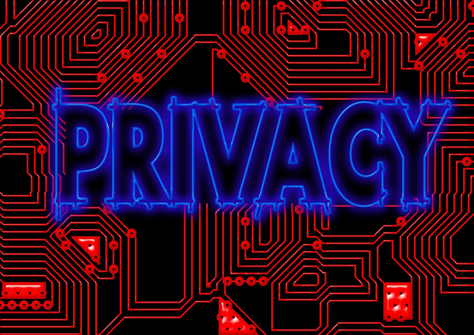 The word Privacy written in blue on a red circuit background