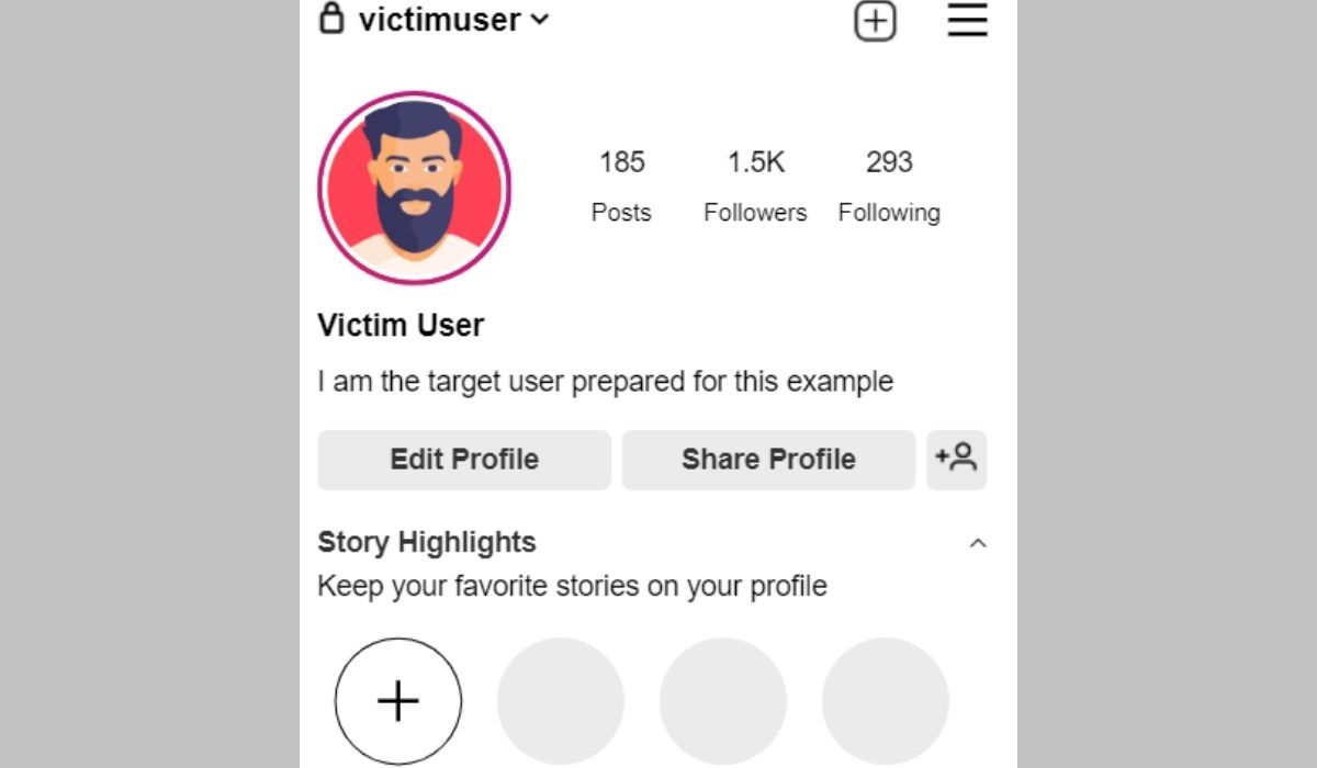 Một ví dụ về ảnh chụp màn hình hồ sơ tài khoản instagram của người dùng nạn nhân