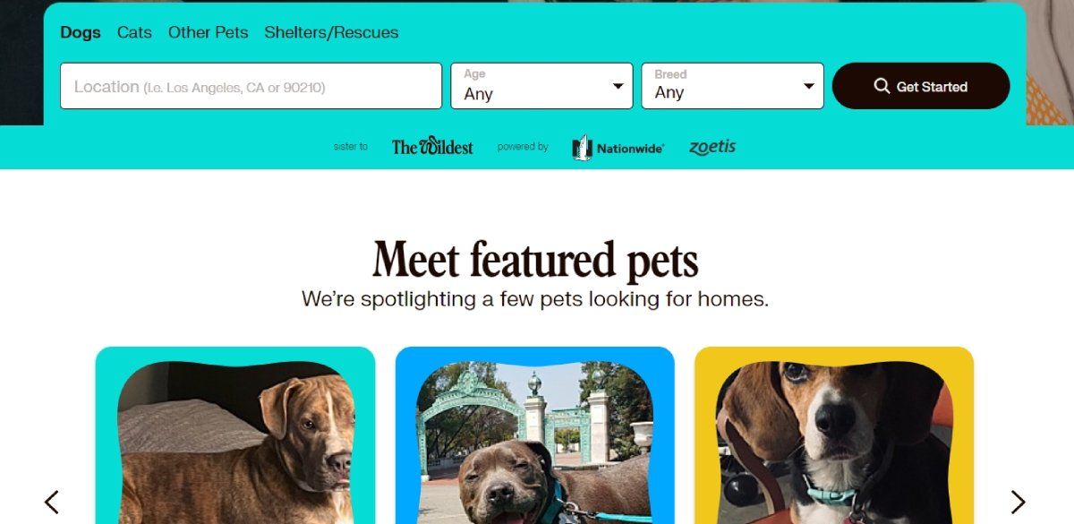A screenshot of the dog adoption page of adoptapet.com